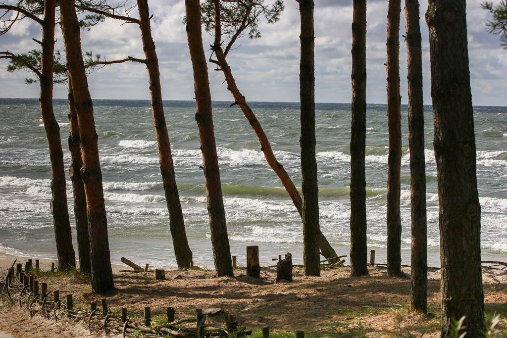 Vila Medus Паланга Екстер'єр фото