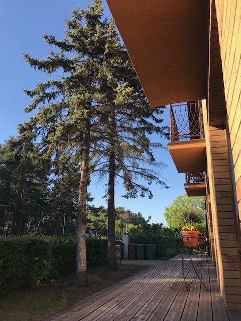 Vila Medus Паланга Екстер'єр фото